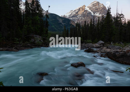 Beautiful landscape view on the river flowing in the Canadian Rockies during a sunny sunrise. Taken in Banff, Alberta, Canada. Stock Photo