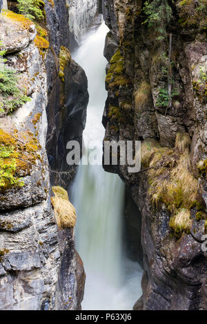 Maligne Canyon is a natural feature located in the Jasper National Park near Jasper, Alberta, Canada. Eroded out of the Palliser Formation. Stock Photo