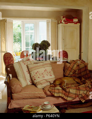 Dog sleeping on checked blanket on Bergere sofa with striped and floral cushions in cottage sitting room Stock Photo