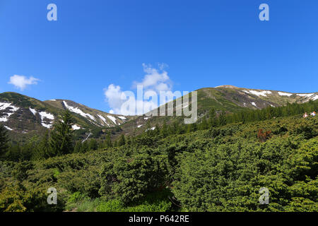 Amazing landscape of Alps mountains with fir trees and conifer nature. Stock Photo