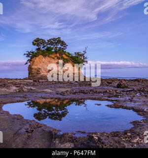 The Tor in Torbay Auckland New Zealand on the North Shore Stock Photo