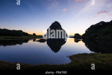 Lion Rock Piha West Coast Auckland New Zealand Dusk Sunset Stock Photo