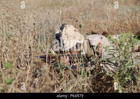 An Iraqi soldier, assigned to 4th Battalion, 23rd Brigade, takes cover in the grass during a section attack and ambush training exercise at Camp Taji, Iraq, April 3, 2016. This exercise allowed trainers to evaluate soldiers’ knowledge and techniques during an attack. By enabling Iraqi Security Forces through advise and assist, and building partner capacity missions, the Combined Joint Task Force – Operation Inherent Resolve’s multinational coalition is helping the Government of Iraq set conditions to defeat the Islamic State of Iraq and the Levant. (U.S. Army photo by Sgt. Kalie Jone/Released) Stock Photo