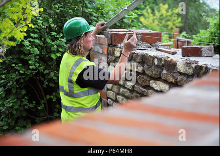 Using a spirit level during the building of a garden wall with cotswold stone and cement mortar UK Stock Photo