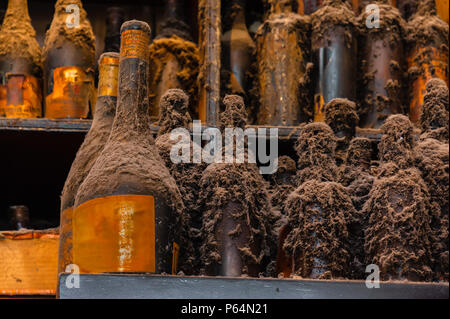 Collection of Aged-Old Bottles. Display of very old bottles left on the shelves, all covered with dust, dirt, and cobweb. Stock Photo
