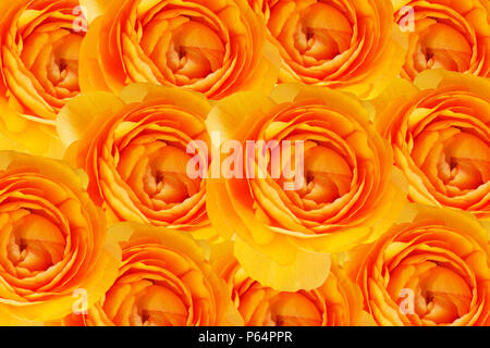 Background of Beautiful orange flowers patterns for wedding scene Stock Photo