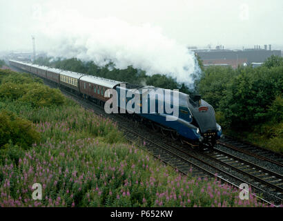 Mallard 88. No.4468 Mallard leaves Carlisle at Durran Hill en route for Newcastle. 16.07.1988. Stock Photo