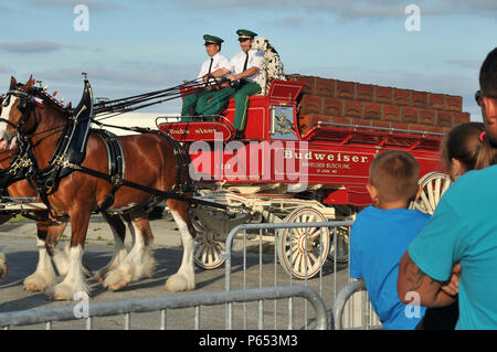 Anheuser-Busch on X: Clydesdales hitch 🤝 first pitch. It's