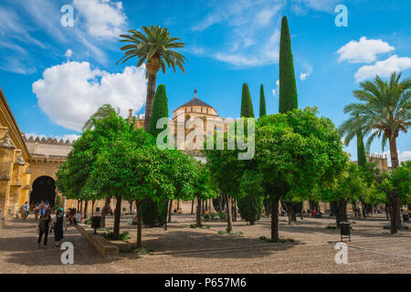 View of the Patio de los Naranjos (Courtyard of The Orange Trees) in the Cordoba Cathedral Mosque (La Mezquita) in Cordoba (Cordova), Andalucia, Spain. Stock Photo