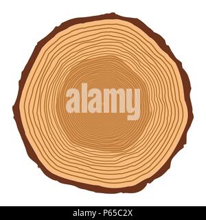 tree trunk rings design isolated on white background Stock Vector