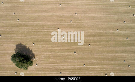 Aerial photo of round bales of straw in the meadow, France Stock Photo