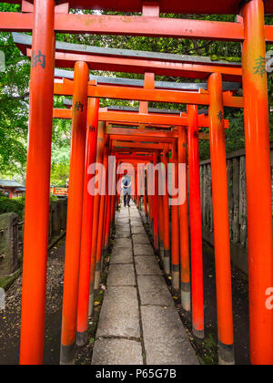 Impressive path covered by red gates at Nezu Jinja Shrine in Tokyo - TOKYO / JAPAN - JUNE 17, 2018 Stock Photo