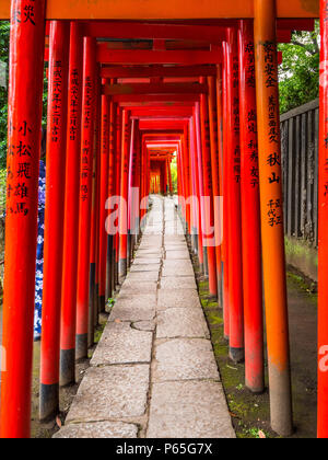 Impressive path covered by red gates at Nezu Jinja Shrine in Tokyo - TOKYO / JAPAN - JUNE 17, 2018 Stock Photo
