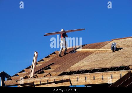 Carpenter carrying lumber on roof of large wood frame structure for community college Stock Photo