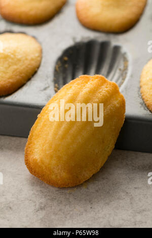 Traditional fresh baked French madeleines on a pan and one close up Stock Photo