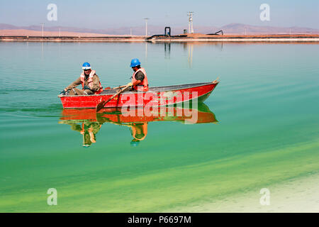 Two workers with security helmet on a boat, rowing through salt pools in the Salar de Atacama, Chile, taking samples of the brine. Stock Photo