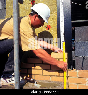 Bricklayer building a cavity wall Stock Photo