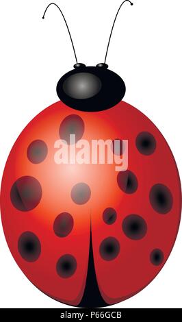 Beautiful red ladybug, vector illustration Stock Vector