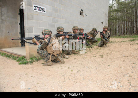 Training Command Quantico Marines from MCB Quantico Headquarters and Service Battalion and MCCDC ...