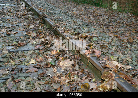 Leaves on the line, Leicestershire. November 2005 Stock Photo