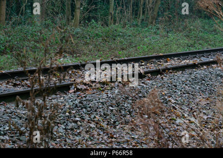 Leaves on the line, Leicestershire. November 2005 Stock Photo