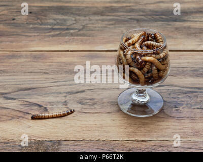 A super worm and group of super worms inside small brandy glass over dark wooden surface used as background in exotic pet food, insect, Halloween, celebration, decoration, scary, and haunting concepts Stock Photo