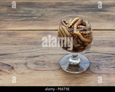 A group of super or giant worms crawl inside small brandy glass over dark wooden surface used as background in exotic pet food, insect, Halloween, celebration, decoration, scary, and haunting concepts Stock Photo