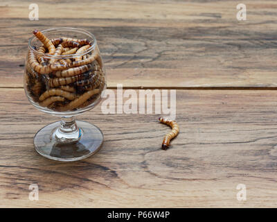 A super worm and group of super worms inside small brandy glass over dark wooden surface used as background in exotic pet food, insect, Halloween, celebration, decoration, scary, and haunting concepts Stock Photo