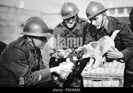 World War Two: British soldier carries chicks in his helmet at a front line position 1940 Stock Photo