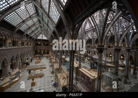 University of Oxford Museum of Natural History Stock Photo