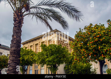 europe, greece, fokida, amfissa, city, houses Stock Photo