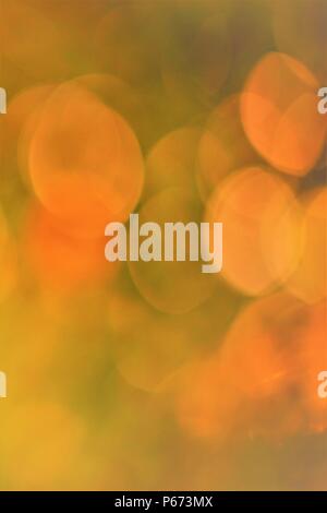 beautiful orange bokeh circles on a green background Stock Photo