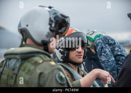 U.S. Navy EA-18G Growler pilots from Electronic Attack Squadrons Stock ...