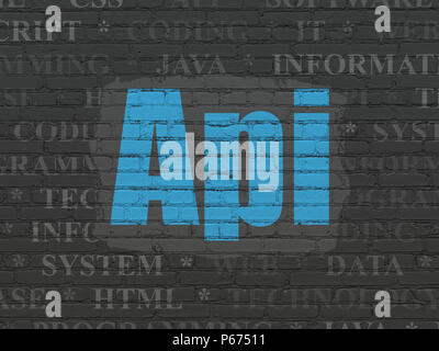 Programming concept: Painted blue text Api on Black Brick wall background with  Tag Cloud Stock Photo