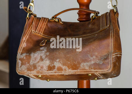 mold on old brown leather bag, fungus on leather bag Stock Photo