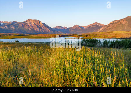 Maskinonge Lake at dawn, Waterton Lakes National Park, Alberta, Canada ...