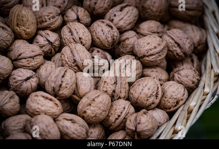 Background of a walnut in a wicker basket close-up Stock Photo
