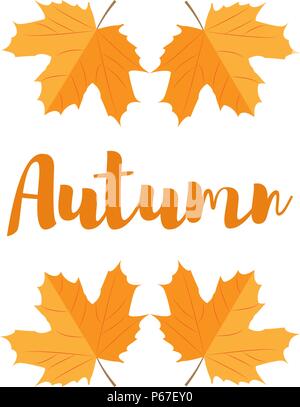 orange autumn leave seasonal icon Stock Vector Image & Art - Alamy