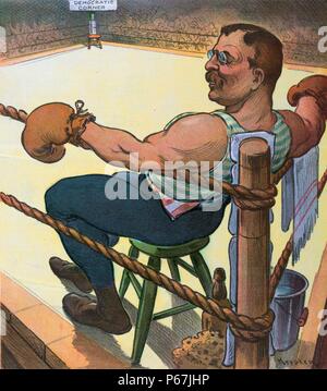 'Terrible Teddy' waits for 'the unknown'' President Theodore Roosevelt as a boxer sitting on a stool with his arms resting on the ropes in the near corner of a boxing ring, waiting for a challenger to enter the ring and sit in the vacant chair in the 'Democratic Corner'. Stock Photo