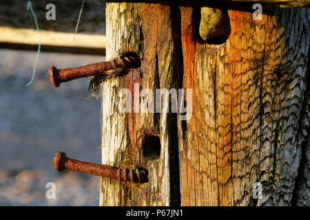 Rusty bent nails in breakwater Stock Photo