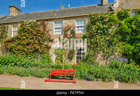 CAWDOR CASTLE NAIRN SCOTLAND RED BENCH AND INTERIOR BUILDING WALL COVERED WITH RED YELLOW AND PINK CLIMBER ROSES Stock Photo