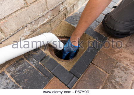 Clearing a blocked house drain with drain rods Stock Photo: 78567728 ...