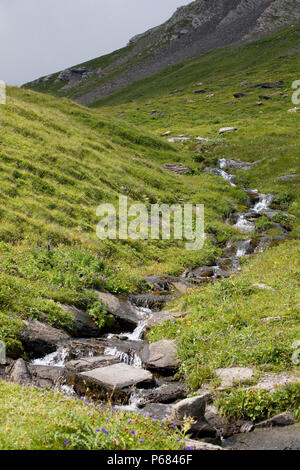 A small mountain stream flows down the hillside between Ritzengrätli and Sulzibiel towards First-Grindelwald, Bernese Oberland, Switzerland Stock Photo