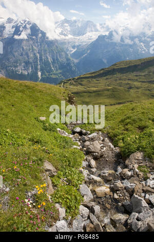 The chasm of the upper Lüschental seen from near First, with great mountains beyond, Bernese Oberland, Switzerland Stock Photo