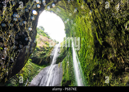 Madakaripura waterfall in Indonesia Stock Photo