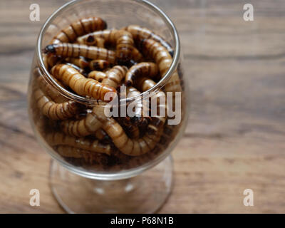 A group of super or giant worms crawl inside small brandy glass over dark wooden surface used as background in exotic pet food, insect, Halloween, celebration, decoration, scary, and haunting concepts Stock Photo