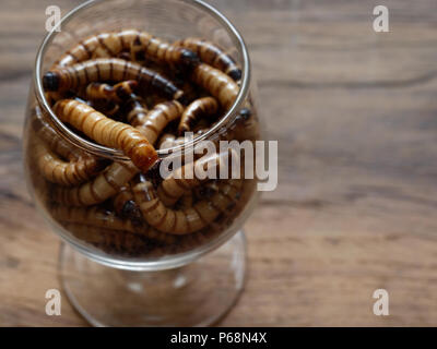 A group of super or giant worms crawl inside small brandy glass over dark wooden surface used as background in exotic pet food, insect, Halloween, celebration, decoration, scary, and haunting concepts Stock Photo