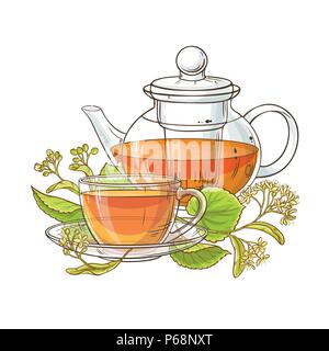 linden tea in teapot vector illustration on white background Stock Vector