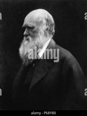 Photograph of Charles Robert Darwin (1809-1882) English naturalist and geologist, best known for his contributions to the evolutionary theory. Photographed by Julia Margaret Cameron. Dated 1868 Stock Photo
