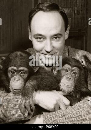 Desmond Morris with the chimpanzees Congo and Charlie on the Zootime TV programme from the London Zoo, 1956. Stock Photo